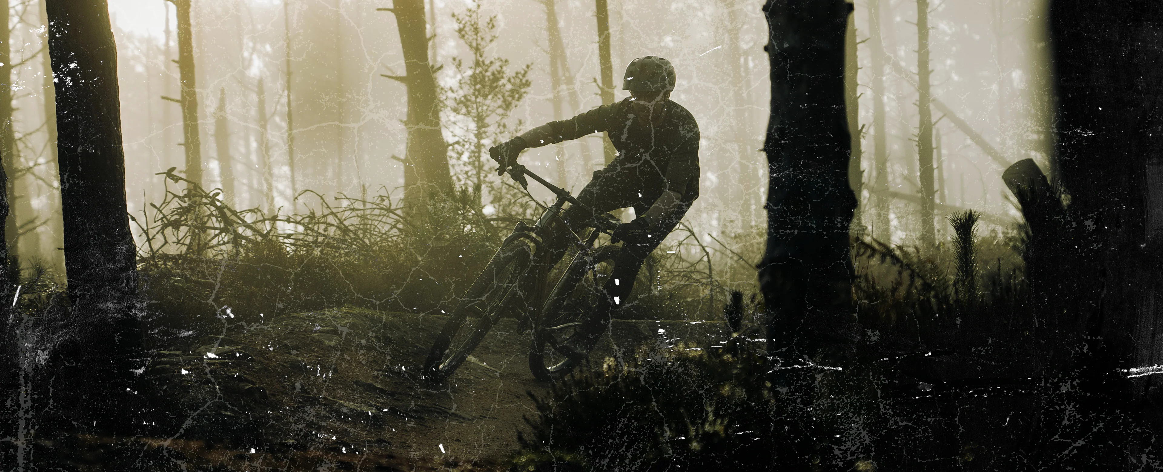 Unearth Your Peak Performance